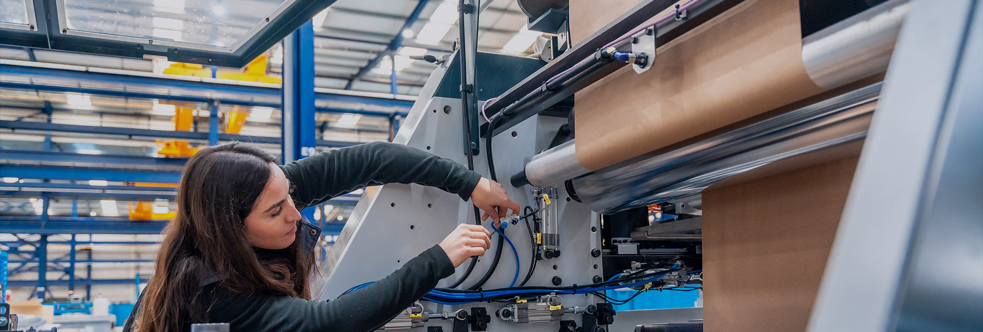 Industria del embalaje Precision Rollers Industria del embalaje Precision Rollers